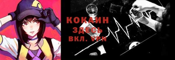 стаф Надым