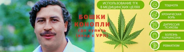 стаф Надым