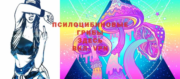 ПСИЛОЦИБИНОВЫЕ ГРИБЫ Нефтегорск