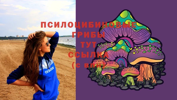 2c-b Навашино