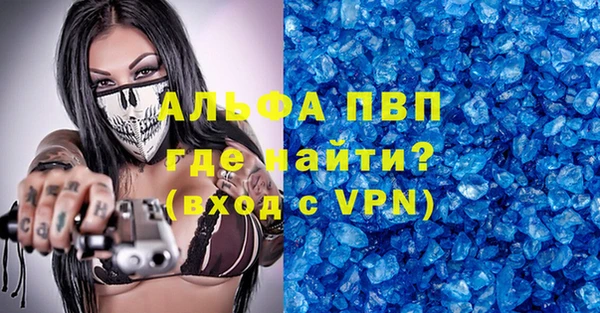 стаф Надым
