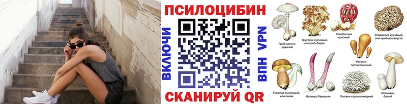 Купить где  Каневская  Галлюциногенные грибы мицелий 